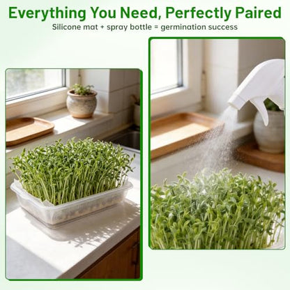 Acrylic Microgreens Growing Trays 3-Pack with Silicone Mats & Spray Bottle – Clear Hydroponic Germination Kit for Vegetables, Wheatgrass, Cat Grass – Soilless Trays for Home Kitchen & Classroom