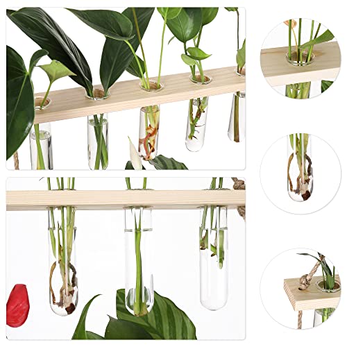 YIBOT Plant Propagation Stations with Wooden Stand 15 Glass Test Tubes Vase - color: Beige, size: 14"L x 14"W x 35"H