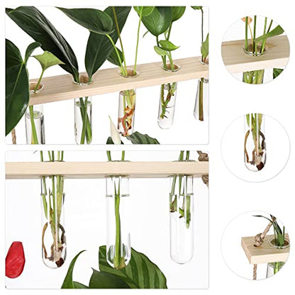 YIBOT Plant Propagation Stations with Wooden Stand 15 Glass Test Tubes Vase - color: Beige, size: 14"L x 14"W x 35"H