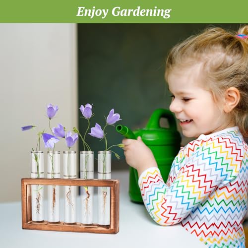 Tigvio 2pcs Desktop Glass Plant Propagation Station (10 Tubes) - size: 10 Tubes
