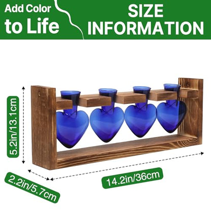 Plant Propagation Stations Heart Plant Terrarium Kit - color: Blue