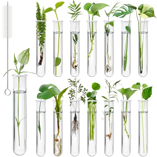 15Pcs Plastic Plant Propagation Tubes, Clear Test Tubes for Plant