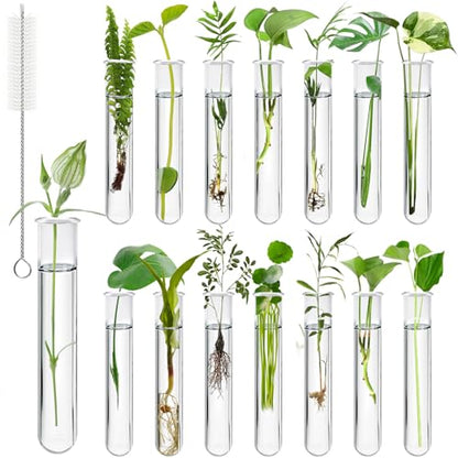 15Pcs Plastic Plant Propagation Tubes, Clear Test Tubes for Plant