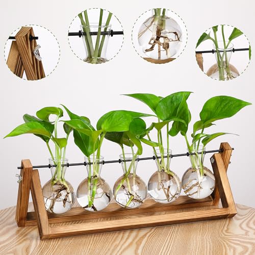 YIBOT Plant Propagation Stations with Wooden Stand & 5 Glass Bulb Vases - size: 5Bulb-A