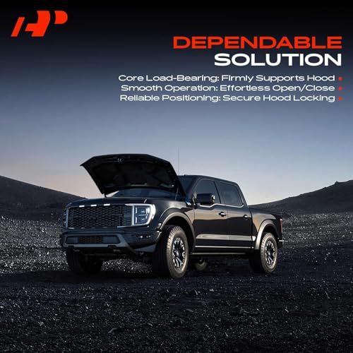 A-Premium Set of 2 Front Driver and Passenger Hood Hinges