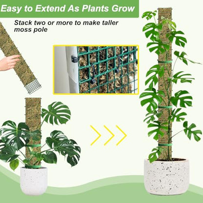 60"/40"/24" Metal Moss Pole, D Shape Sphagnum Moss Pole, Moss Poles for Climbing Plants, Monstera, Indoor Climbing Plants (4Pcs 24") - style: 4Pcs 24"