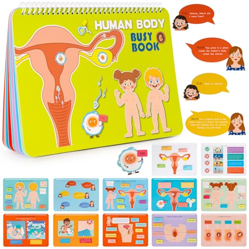 Freebear Montessori Busy Book for Kids, Human Body Anatomy Book for Toddlers, Preshool Kindergarten Learning Activities, Autism Sensory Toys, Gifts for Girls and Boys 4-7 Years- Human Body Procreation - style: Human Body Procreation