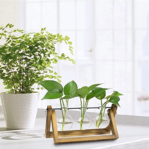 Kingbuy Desktop Glass Planter, 3 Bulb Vases, Brown - size: 3 Bulb Vase (C-type)