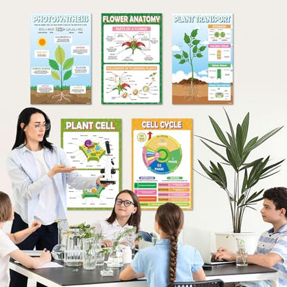 KIDS KING 18 Learning Posters - Biology (11"x17") - color: Biology