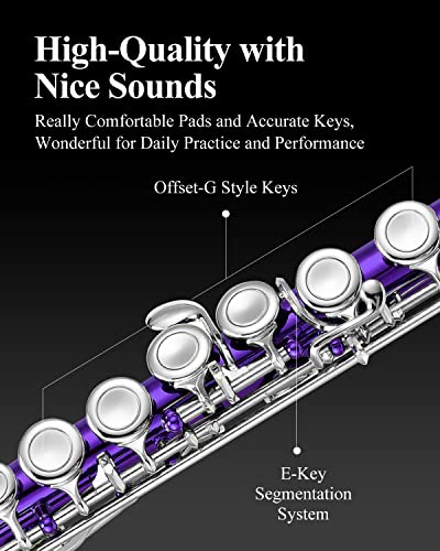 Eastar 16-Key Closed Hole C Flute Kids Beginner, Purple Full Kit, EFL-1Pu - color: Purple