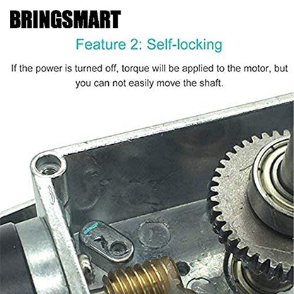 BRINGSMART 24V 5rpm DC Worm Gear Motor Self-Locking Mini Engine Turbine - size: 24V 5rpm