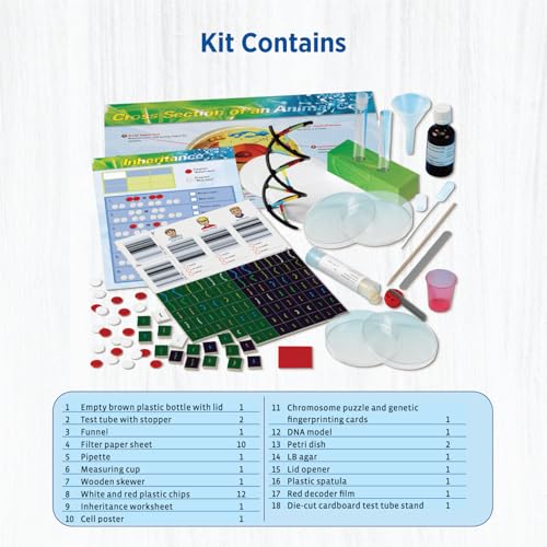 Thames & Kosmos Genetics & DNA Lab 10x2.5x11 inch