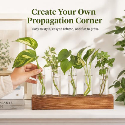 Renmxj Plant Propagation Station, 10 Glass Test Tube with Wooden Stand - size: 10 Test Tube