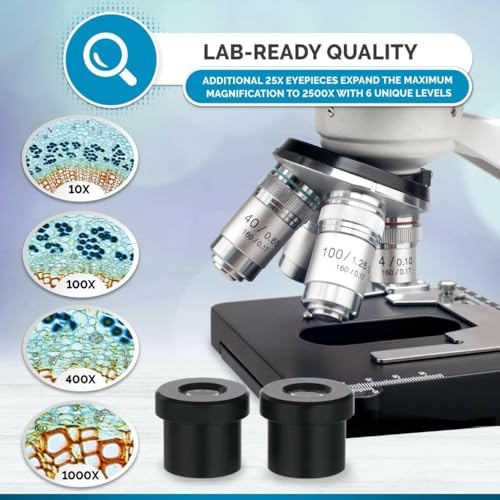 AmScope B120B-WM-BS Siedentopf Binocular Compound Microscope, 2000X
