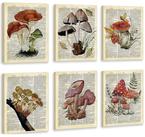 CHDITB Mushroom Wall Art, Mushrooms Dictionary Framed Canvas Wall Art Set, Nature Mushroom Wall Decor, Vintage Fungus Wall Painting, Retro Aesthetic Art Prints For Living Room Bedroom Decor(8X10 Inch) - color: Mushroom, size: 8"L x 10"W