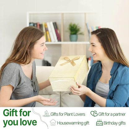 Plant Propagation Stations Heart Plant Terrarium Kit - color: Green