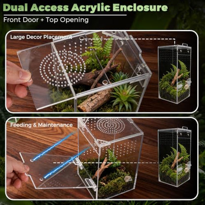 Jumping Spider Enclosure 4" x 4" x 8" Fully Assembled Acrylic Habitat Kit