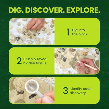 Nature Gear Dino Fossil Dig Kit for Kids, Educational Excavation Kit with 15 Glow in The Dark Mystery Fossils, Interactive Dinosaur Science Kits for Kids Age 3-5 and Up, Excavation Adventure Kit - style: Excavation Adventure Kit