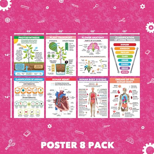 Sproutbrite 8 Pack 12" x16” Plant Cells & Human Body Science Posters