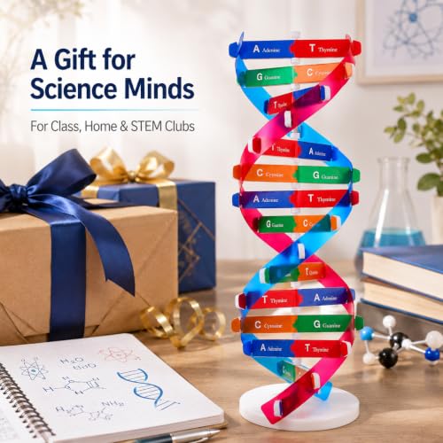 Toddmomy Educational DNA Double Helix Model Kit for Kids DIY Structure Science Toy Interactive Biology Learning Aid Classroom Decor 14. 5"