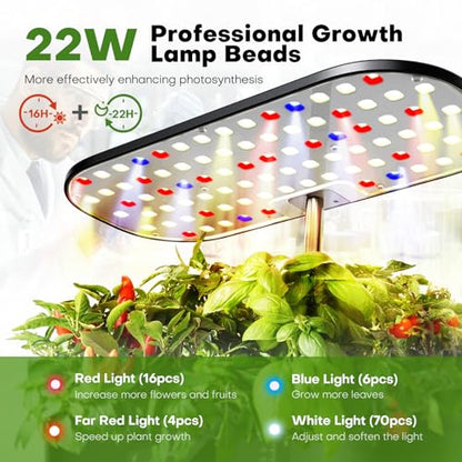 Ahopegarden Hydroponics Growing System Kit: 12 Pods with LCD Control Panel