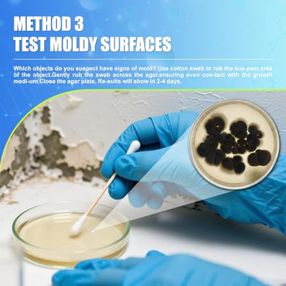 Mold Test Kit for Home,14 Simple Detection Tests,Test HVAC System,Home Surfaces, Indoor Air Quality Testing,DIY Mold Detector,Includes Detailed Mold Identification Guide,Black Mold Testing kit