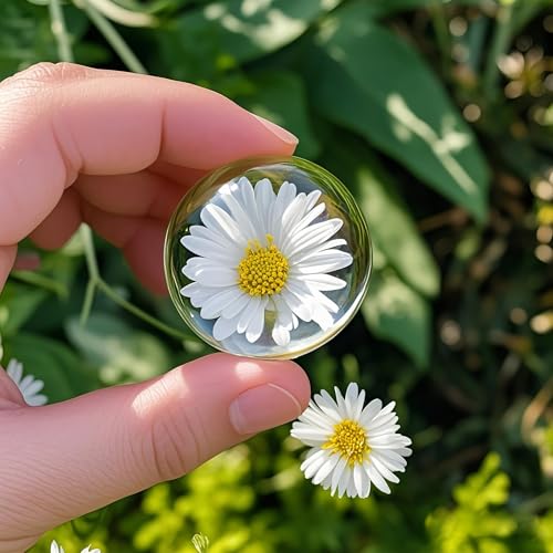 6Pack 1.6inch Crystal Dome Magnifying Paperweight for Outdoor Events - color: 6pcs