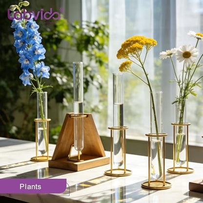 50pcs 20ml Borosilicate Glass Test Tubes, LVH1002 - color: 50pcs of Vol.20ml