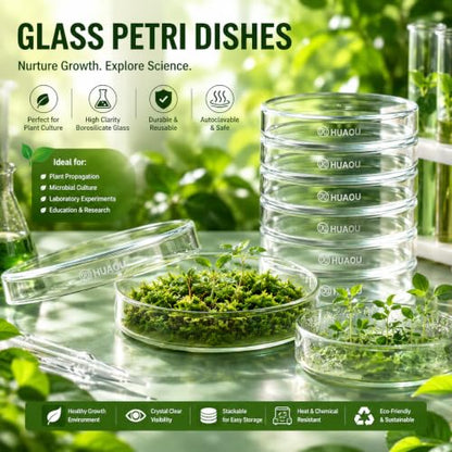 10pcs 90mm Glass Sterile Petri Dishes with Lids - size: 90mm