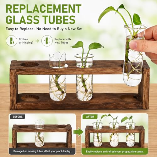 POPETPOP 4PCS Glass Plant Propagation Test Tubes for Hydroponic Cuttings