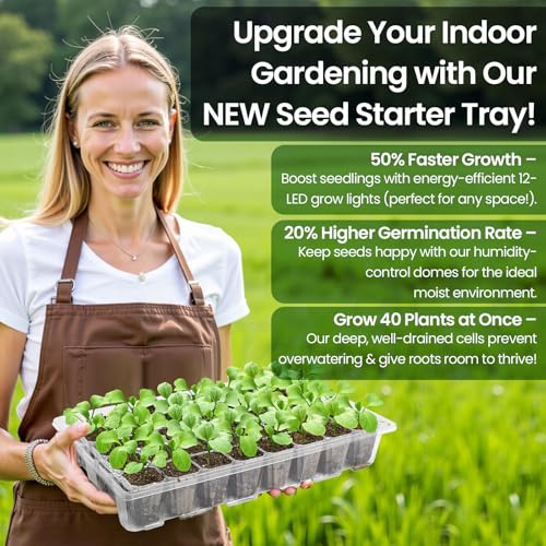 Bonviee Seed Starter Trays with Grow Lights, 80 Cells, 2 Pack - color: Clear, size: 2 Packs