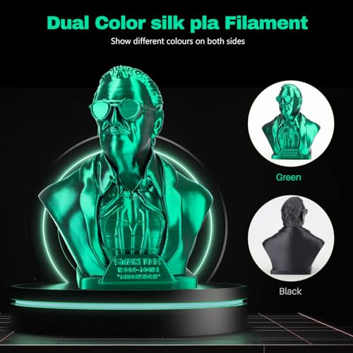 3DHoJor Silk PLA Filament 1.75mm Black Green Dual Color PLA 3D Printer Filament 2 in 1 Coextrusion 1KG Spool(2.2lbs) 3D Printing Filament Dimensional Accuracy +/- 0.03mm Fits for Most FDM 3D Printers - color: Black Green