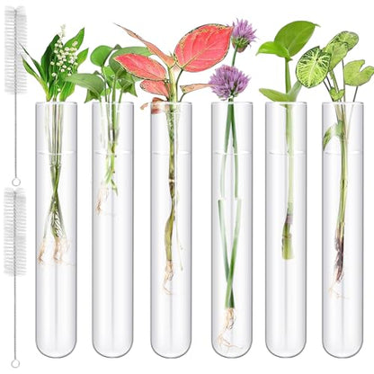 6 Pcs 100ml/3.38oz Glass Test Tubes, 30x200mm Glass Tubes for Plants, Plant Propagation Tube with Brush, Clear Test Tube for Scientific Experiments, Party, Desktop, Home Office Decoration