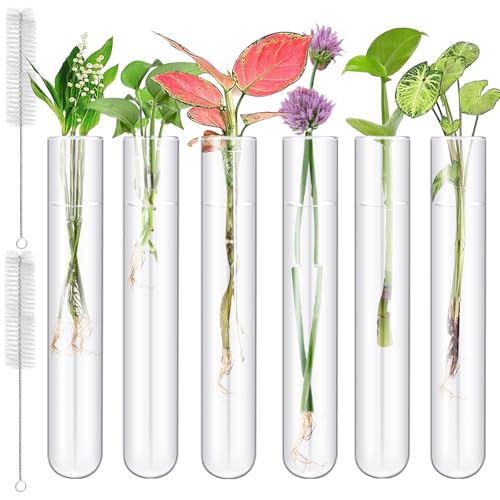 6 Pcs 100ml/3.38oz Glass Test Tubes, 30x200mm Glass Tubes for Plants, Plant Propagation Tube with Brush, Clear Test Tube for Scientific Experiments, Party, Desktop, Home Office Decoration