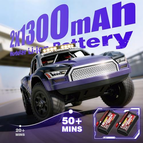 X-TMAGA 1:16 All Terrain RC Cars, 4WD Off-Road Remote Control Car (HS16-83) - color: Purple