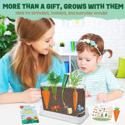 Root Viewer Kit for Kids Gardening Set with Fun Stickers & Storybook, Science STEM Toys & Craft Planting Kits for Ages 4-12 Birthday Gifts for Girls & Boys 4 5 6 7 8 Year Old