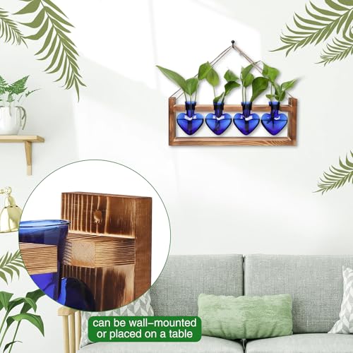 Plant Propagation Stations Heart Plant Terrarium Kit - color: Blue