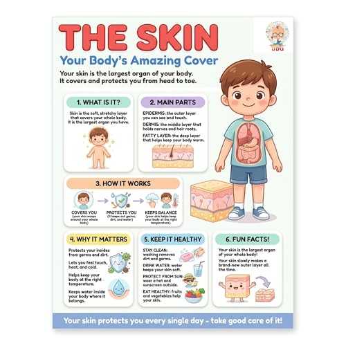 JELLY BEAN GENIUS Human Skin Poster – Laminated Dry-Erase Anatomy Chart for Classroom & Homeschool | Integumentary Science Wall Poster 8.5x11 - color: Human Skin