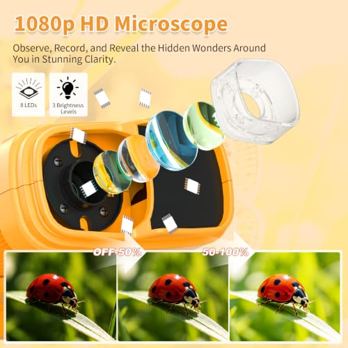 1000X Handheld Microscope for Kids,Mini Pocket Digital Microscope-Yellow - color: Yellow