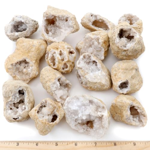 DANCING BEAR 12 Pc Pre-Cracked Geodes with Crystals (1.5 to 2.5" Each), STEM Learning, Party Favors and School Events