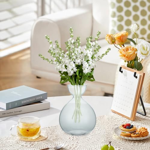 2PCS Small Avocado Grow Vase Glass Acorn Seed Starter Vase Pot for Growing - size: 2PCS Plain 3.74*3.74*5.11inch
