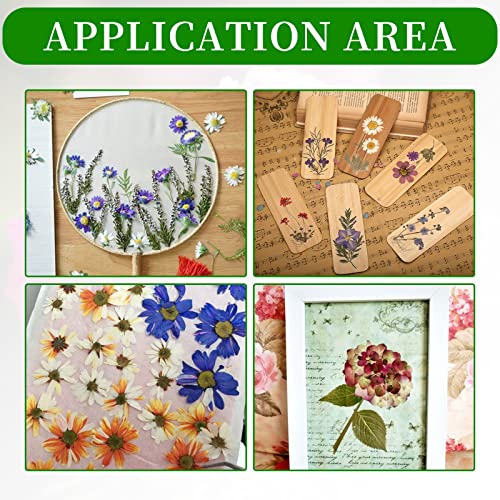 Zreneyfex Portable Wooden Flower & Leaf Press Kit