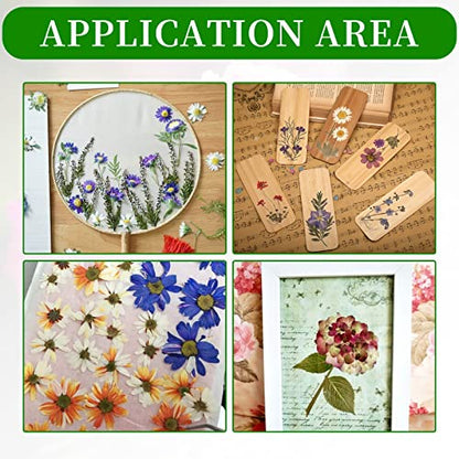 Zreneyfex Portable Wooden Flower & Leaf Press Kit