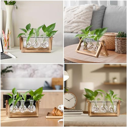 YIBOT Plant Propagation Stations with Wooden Stand & 3 Glass Bulb Vases - size: 3Bulb-A