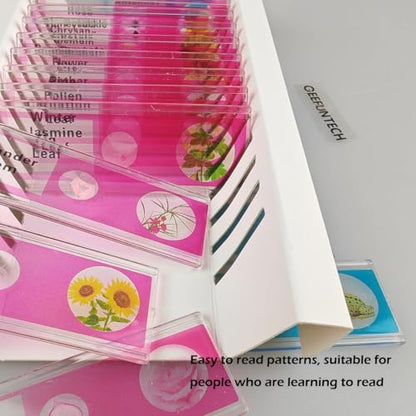 48pcs Plastic Prepared Microscope Slides of Animals Insects Plants Flowers Sample Specimens for Microscopes