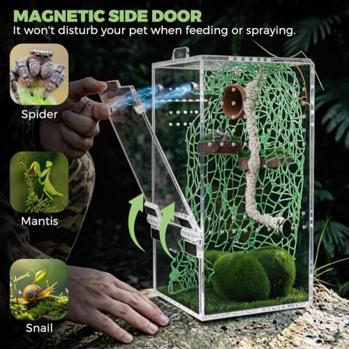Jumping Spider Terrarium 4" x 4" x 8" DIY Habitat Kit - Forest - color: Green A