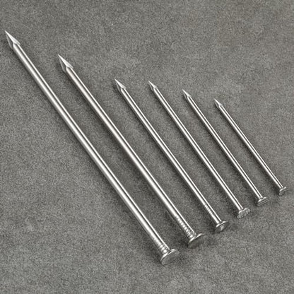 Wensilon (9 pcs)5 inch Stainless Steel 304 Nails, Hanging Nails, Wall Nails, Dowels, Long Nails - color: Ss, size: 5