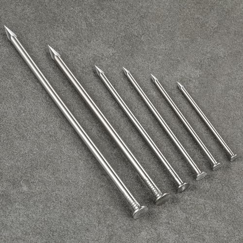 Wensilon (55 pcs)2-1/2 inch Stainless Steel 304 Nails, Hanging Nails, Wall Nails, Dowels, Long Nails - color: Ss, size: 2-1/2