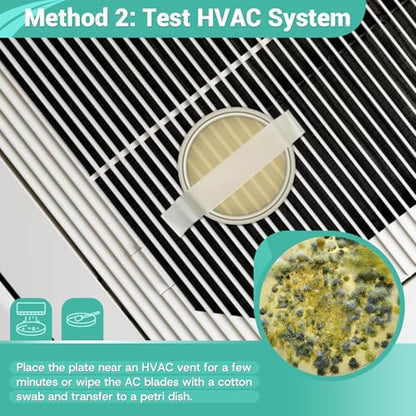 Mold Test Kit for Home Detection: 4 Simple DIY Science Kits for Fastly Testing Home Surfaces & Air Quality Detector & HVAC Monitor Includes Detailed Identification Guide