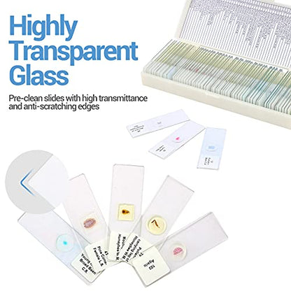 60 Microscope Slides with Specimens for Kids, Prepared Microscope Slides for Kids Microbiology, Prepared Microscope Slides for Adults - size: 60pcs